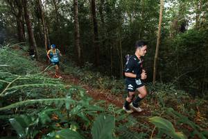 BIB: 
                            <button type="button" onclick="openModal(22464140)" class="btn btn-primary btn-sm float-right btn-popup" data-toggle="modal" data-target=".modal-high-quality">
                        <i class="fas fa-shopping-cart"></i> Add to Cart
                    </button>
                                            <button type="button" onclick="isThisMe(22464140, true)" class="btn btn-success btn-sm float-right btn-popup btn-isme hidden" data-toggle="tooltip" data-placement="bottom" title="นี่คือรูปของคุณใช่ไหม คลิกที่นี่เพื่อเอาเข้าอัลบั้ม">
                        <i class="fas fa-plus"></i> Add to album
                    </button>
                    <button type="button" onclick="isThisMe(22464140, false)" class="btn btn-warning btn-sm float-right btn-popup btn-isnotme hidden">
                        <i class="fas fa-ban"></i> Remove from album
                    </button>