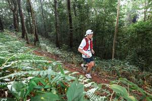 BIB: 
                            <button type="button" onclick="openModal(22484837)" class="btn btn-primary btn-sm float-right btn-popup" data-toggle="modal" data-target=".modal-high-quality">
                        <i class="fas fa-shopping-cart"></i> Add to Cart
                    </button>
                                            <button type="button" onclick="isThisMe(22484837, true)" class="btn btn-success btn-sm float-right btn-popup btn-isme hidden" data-toggle="tooltip" data-placement="bottom" title="นี่คือรูปของคุณใช่ไหม คลิกที่นี่เพื่อเอาเข้าอัลบั้ม">
                        <i class="fas fa-plus"></i> Add to album
                    </button>
                    <button type="button" onclick="isThisMe(22484837, false)" class="btn btn-warning btn-sm float-right btn-popup btn-isnotme hidden">
                        <i class="fas fa-ban"></i> Remove from album
                    </button>