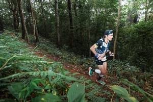 BIB: 2005
                            <button type="button" onclick="openModal(22480595)" class="btn btn-primary btn-sm float-right btn-popup" data-toggle="modal" data-target=".modal-high-quality">
                        <i class="fas fa-shopping-cart"></i> Add to Cart
                    </button>
                                            <button type="button" onclick="isThisMe(22480595, true)" class="btn btn-success btn-sm float-right btn-popup btn-isme hidden" data-toggle="tooltip" data-placement="bottom" title="นี่คือรูปของคุณใช่ไหม คลิกที่นี่เพื่อเอาเข้าอัลบั้ม">
                        <i class="fas fa-plus"></i> Add to album
                    </button>
                    <button type="button" onclick="isThisMe(22480595, false)" class="btn btn-warning btn-sm float-right btn-popup btn-isnotme hidden">
                        <i class="fas fa-ban"></i> Remove from album
                    </button>