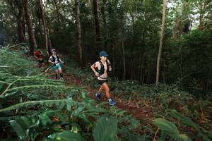 BIB: 
                            <button type="button" onclick="openModal(22464307)" class="btn btn-primary btn-sm float-right btn-popup" data-toggle="modal" data-target=".modal-high-quality">
                        <i class="fas fa-shopping-cart"></i> Add to Cart
                    </button>
                                            <button type="button" onclick="isThisMe(22464307, true)" class="btn btn-success btn-sm float-right btn-popup btn-isme hidden" data-toggle="tooltip" data-placement="bottom" title="นี่คือรูปของคุณใช่ไหม คลิกที่นี่เพื่อเอาเข้าอัลบั้ม">
                        <i class="fas fa-plus"></i> Add to album
                    </button>
                    <button type="button" onclick="isThisMe(22464307, false)" class="btn btn-warning btn-sm float-right btn-popup btn-isnotme hidden">
                        <i class="fas fa-ban"></i> Remove from album
                    </button>