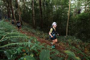 BIB: 
                            <button type="button" onclick="openModal(22464630)" class="btn btn-primary btn-sm float-right btn-popup" data-toggle="modal" data-target=".modal-high-quality">
                        <i class="fas fa-shopping-cart"></i> Add to Cart
                    </button>
                                            <button type="button" onclick="isThisMe(22464630, true)" class="btn btn-success btn-sm float-right btn-popup btn-isme hidden" data-toggle="tooltip" data-placement="bottom" title="นี่คือรูปของคุณใช่ไหม คลิกที่นี่เพื่อเอาเข้าอัลบั้ม">
                        <i class="fas fa-plus"></i> Add to album
                    </button>
                    <button type="button" onclick="isThisMe(22464630, false)" class="btn btn-warning btn-sm float-right btn-popup btn-isnotme hidden">
                        <i class="fas fa-ban"></i> Remove from album
                    </button>