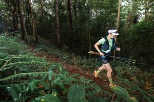 BIB: 
                            <button type="button" onclick="openModal(22464188)" class="btn btn-primary btn-sm float-right btn-popup" data-toggle="modal" data-target=".modal-high-quality">
                        <i class="fas fa-shopping-cart"></i> Add to Cart
                    </button>
                                            <button type="button" onclick="isThisMe(22464188, true)" class="btn btn-success btn-sm float-right btn-popup btn-isme hidden" data-toggle="tooltip" data-placement="bottom" title="นี่คือรูปของคุณใช่ไหม คลิกที่นี่เพื่อเอาเข้าอัลบั้ม">
                        <i class="fas fa-plus"></i> Add to album
                    </button>
                    <button type="button" onclick="isThisMe(22464188, false)" class="btn btn-warning btn-sm float-right btn-popup btn-isnotme hidden">
                        <i class="fas fa-ban"></i> Remove from album
                    </button>