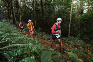 BIB: 
                            <button type="button" onclick="openModal(22464076)" class="btn btn-primary btn-sm float-right btn-popup" data-toggle="modal" data-target=".modal-high-quality">
                        <i class="fas fa-shopping-cart"></i> Add to Cart
                    </button>
                                            <button type="button" onclick="isThisMe(22464076, true)" class="btn btn-success btn-sm float-right btn-popup btn-isme hidden" data-toggle="tooltip" data-placement="bottom" title="นี่คือรูปของคุณใช่ไหม คลิกที่นี่เพื่อเอาเข้าอัลบั้ม">
                        <i class="fas fa-plus"></i> Add to album
                    </button>
                    <button type="button" onclick="isThisMe(22464076, false)" class="btn btn-warning btn-sm float-right btn-popup btn-isnotme hidden">
                        <i class="fas fa-ban"></i> Remove from album
                    </button>