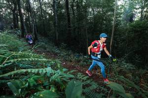 BIB: 
                            <button type="button" onclick="openModal(22466489)" class="btn btn-primary btn-sm float-right btn-popup" data-toggle="modal" data-target=".modal-high-quality">
                        <i class="fas fa-shopping-cart"></i> Add to Cart
                    </button>
                                            <button type="button" onclick="isThisMe(22466489, true)" class="btn btn-success btn-sm float-right btn-popup btn-isme hidden" data-toggle="tooltip" data-placement="bottom" title="นี่คือรูปของคุณใช่ไหม คลิกที่นี่เพื่อเอาเข้าอัลบั้ม">
                        <i class="fas fa-plus"></i> Add to album
                    </button>
                    <button type="button" onclick="isThisMe(22466489, false)" class="btn btn-warning btn-sm float-right btn-popup btn-isnotme hidden">
                        <i class="fas fa-ban"></i> Remove from album
                    </button>