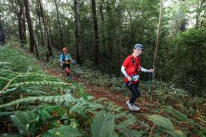 BIB: 
                            <button type="button" onclick="openModal(22478363)" class="btn btn-primary btn-sm float-right btn-popup" data-toggle="modal" data-target=".modal-high-quality">
                        <i class="fas fa-shopping-cart"></i> Add to Cart
                    </button>
                                            <button type="button" onclick="isThisMe(22478363, true)" class="btn btn-success btn-sm float-right btn-popup btn-isme hidden" data-toggle="tooltip" data-placement="bottom" title="นี่คือรูปของคุณใช่ไหม คลิกที่นี่เพื่อเอาเข้าอัลบั้ม">
                        <i class="fas fa-plus"></i> Add to album
                    </button>
                    <button type="button" onclick="isThisMe(22478363, false)" class="btn btn-warning btn-sm float-right btn-popup btn-isnotme hidden">
                        <i class="fas fa-ban"></i> Remove from album
                    </button>