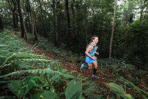 BIB: 
                            <button type="button" onclick="openModal(22480422)" class="btn btn-primary btn-sm float-right btn-popup" data-toggle="modal" data-target=".modal-high-quality">
                        <i class="fas fa-shopping-cart"></i> Add to Cart
                    </button>
                                            <button type="button" onclick="isThisMe(22480422, true)" class="btn btn-success btn-sm float-right btn-popup btn-isme hidden" data-toggle="tooltip" data-placement="bottom" title="นี่คือรูปของคุณใช่ไหม คลิกที่นี่เพื่อเอาเข้าอัลบั้ม">
                        <i class="fas fa-plus"></i> Add to album
                    </button>
                    <button type="button" onclick="isThisMe(22480422, false)" class="btn btn-warning btn-sm float-right btn-popup btn-isnotme hidden">
                        <i class="fas fa-ban"></i> Remove from album
                    </button>