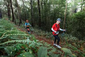 BIB: 
                            <button type="button" onclick="openModal(22478366)" class="btn btn-primary btn-sm float-right btn-popup" data-toggle="modal" data-target=".modal-high-quality">
                        <i class="fas fa-shopping-cart"></i> Add to Cart
                    </button>
                                            <button type="button" onclick="isThisMe(22478366, true)" class="btn btn-success btn-sm float-right btn-popup btn-isme hidden" data-toggle="tooltip" data-placement="bottom" title="นี่คือรูปของคุณใช่ไหม คลิกที่นี่เพื่อเอาเข้าอัลบั้ม">
                        <i class="fas fa-plus"></i> Add to album
                    </button>
                    <button type="button" onclick="isThisMe(22478366, false)" class="btn btn-warning btn-sm float-right btn-popup btn-isnotme hidden">
                        <i class="fas fa-ban"></i> Remove from album
                    </button>