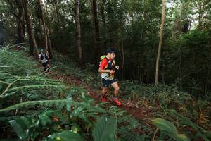 BIB: 
                            <button type="button" onclick="openModal(22464350)" class="btn btn-primary btn-sm float-right btn-popup" data-toggle="modal" data-target=".modal-high-quality">
                        <i class="fas fa-shopping-cart"></i> Add to Cart
                    </button>
                                            <button type="button" onclick="isThisMe(22464350, true)" class="btn btn-success btn-sm float-right btn-popup btn-isme hidden" data-toggle="tooltip" data-placement="bottom" title="นี่คือรูปของคุณใช่ไหม คลิกที่นี่เพื่อเอาเข้าอัลบั้ม">
                        <i class="fas fa-plus"></i> Add to album
                    </button>
                    <button type="button" onclick="isThisMe(22464350, false)" class="btn btn-warning btn-sm float-right btn-popup btn-isnotme hidden">
                        <i class="fas fa-ban"></i> Remove from album
                    </button>