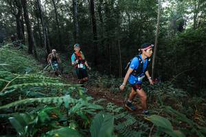 BIB: 
                            <button type="button" onclick="openModal(22465824)" class="btn btn-primary btn-sm float-right btn-popup" data-toggle="modal" data-target=".modal-high-quality">
                        <i class="fas fa-shopping-cart"></i> Add to Cart
                    </button>
                                            <button type="button" onclick="isThisMe(22465824, true)" class="btn btn-success btn-sm float-right btn-popup btn-isme hidden" data-toggle="tooltip" data-placement="bottom" title="นี่คือรูปของคุณใช่ไหม คลิกที่นี่เพื่อเอาเข้าอัลบั้ม">
                        <i class="fas fa-plus"></i> Add to album
                    </button>
                    <button type="button" onclick="isThisMe(22465824, false)" class="btn btn-warning btn-sm float-right btn-popup btn-isnotme hidden">
                        <i class="fas fa-ban"></i> Remove from album
                    </button>