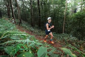 BIB: 
                            <button type="button" onclick="openModal(22484564)" class="btn btn-primary btn-sm float-right btn-popup" data-toggle="modal" data-target=".modal-high-quality">
                        <i class="fas fa-shopping-cart"></i> Add to Cart
                    </button>
                                            <button type="button" onclick="isThisMe(22484564, true)" class="btn btn-success btn-sm float-right btn-popup btn-isme hidden" data-toggle="tooltip" data-placement="bottom" title="นี่คือรูปของคุณใช่ไหม คลิกที่นี่เพื่อเอาเข้าอัลบั้ม">
                        <i class="fas fa-plus"></i> Add to album
                    </button>
                    <button type="button" onclick="isThisMe(22484564, false)" class="btn btn-warning btn-sm float-right btn-popup btn-isnotme hidden">
                        <i class="fas fa-ban"></i> Remove from album
                    </button>