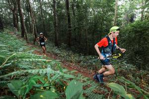 BIB: 
                            <button type="button" onclick="openModal(22484562)" class="btn btn-primary btn-sm float-right btn-popup" data-toggle="modal" data-target=".modal-high-quality">
                        <i class="fas fa-shopping-cart"></i> Add to Cart
                    </button>
                                            <button type="button" onclick="isThisMe(22484562, true)" class="btn btn-success btn-sm float-right btn-popup btn-isme hidden" data-toggle="tooltip" data-placement="bottom" title="นี่คือรูปของคุณใช่ไหม คลิกที่นี่เพื่อเอาเข้าอัลบั้ม">
                        <i class="fas fa-plus"></i> Add to album
                    </button>
                    <button type="button" onclick="isThisMe(22484562, false)" class="btn btn-warning btn-sm float-right btn-popup btn-isnotme hidden">
                        <i class="fas fa-ban"></i> Remove from album
                    </button>