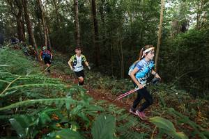 BIB: 
                            <button type="button" onclick="openModal(22464707)" class="btn btn-primary btn-sm float-right btn-popup" data-toggle="modal" data-target=".modal-high-quality">
                        <i class="fas fa-shopping-cart"></i> Add to Cart
                    </button>
                                            <button type="button" onclick="isThisMe(22464707, true)" class="btn btn-success btn-sm float-right btn-popup btn-isme hidden" data-toggle="tooltip" data-placement="bottom" title="นี่คือรูปของคุณใช่ไหม คลิกที่นี่เพื่อเอาเข้าอัลบั้ม">
                        <i class="fas fa-plus"></i> Add to album
                    </button>
                    <button type="button" onclick="isThisMe(22464707, false)" class="btn btn-warning btn-sm float-right btn-popup btn-isnotme hidden">
                        <i class="fas fa-ban"></i> Remove from album
                    </button>