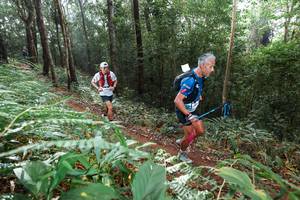 BIB: 
                            <button type="button" onclick="openModal(22484722)" class="btn btn-primary btn-sm float-right btn-popup" data-toggle="modal" data-target=".modal-high-quality">
                        <i class="fas fa-shopping-cart"></i> Add to Cart
                    </button>
                                            <button type="button" onclick="isThisMe(22484722, true)" class="btn btn-success btn-sm float-right btn-popup btn-isme hidden" data-toggle="tooltip" data-placement="bottom" title="นี่คือรูปของคุณใช่ไหม คลิกที่นี่เพื่อเอาเข้าอัลบั้ม">
                        <i class="fas fa-plus"></i> Add to album
                    </button>
                    <button type="button" onclick="isThisMe(22484722, false)" class="btn btn-warning btn-sm float-right btn-popup btn-isnotme hidden">
                        <i class="fas fa-ban"></i> Remove from album
                    </button>