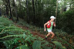 BIB: 
                            <button type="button" onclick="openModal(22465319)" class="btn btn-primary btn-sm float-right btn-popup" data-toggle="modal" data-target=".modal-high-quality">
                        <i class="fas fa-shopping-cart"></i> Add to Cart
                    </button>
                                            <button type="button" onclick="isThisMe(22465319, true)" class="btn btn-success btn-sm float-right btn-popup btn-isme hidden" data-toggle="tooltip" data-placement="bottom" title="นี่คือรูปของคุณใช่ไหม คลิกที่นี่เพื่อเอาเข้าอัลบั้ม">
                        <i class="fas fa-plus"></i> Add to album
                    </button>
                    <button type="button" onclick="isThisMe(22465319, false)" class="btn btn-warning btn-sm float-right btn-popup btn-isnotme hidden">
                        <i class="fas fa-ban"></i> Remove from album
                    </button>