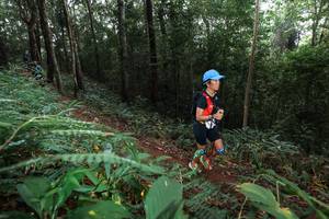 BIB: 
                            <button type="button" onclick="openModal(22483900)" class="btn btn-primary btn-sm float-right btn-popup" data-toggle="modal" data-target=".modal-high-quality">
                        <i class="fas fa-shopping-cart"></i> Add to Cart
                    </button>
                                            <button type="button" onclick="isThisMe(22483900, true)" class="btn btn-success btn-sm float-right btn-popup btn-isme hidden" data-toggle="tooltip" data-placement="bottom" title="นี่คือรูปของคุณใช่ไหม คลิกที่นี่เพื่อเอาเข้าอัลบั้ม">
                        <i class="fas fa-plus"></i> Add to album
                    </button>
                    <button type="button" onclick="isThisMe(22483900, false)" class="btn btn-warning btn-sm float-right btn-popup btn-isnotme hidden">
                        <i class="fas fa-ban"></i> Remove from album
                    </button>