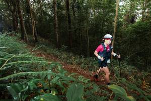 BIB: 
                            <button type="button" onclick="openModal(22463982)" class="btn btn-primary btn-sm float-right btn-popup" data-toggle="modal" data-target=".modal-high-quality">
                        <i class="fas fa-shopping-cart"></i> Add to Cart
                    </button>
                                            <button type="button" onclick="isThisMe(22463982, true)" class="btn btn-success btn-sm float-right btn-popup btn-isme hidden" data-toggle="tooltip" data-placement="bottom" title="นี่คือรูปของคุณใช่ไหม คลิกที่นี่เพื่อเอาเข้าอัลบั้ม">
                        <i class="fas fa-plus"></i> Add to album
                    </button>
                    <button type="button" onclick="isThisMe(22463982, false)" class="btn btn-warning btn-sm float-right btn-popup btn-isnotme hidden">
                        <i class="fas fa-ban"></i> Remove from album
                    </button>