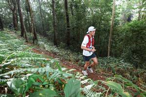 BIB: 
                            <button type="button" onclick="openModal(22484864)" class="btn btn-primary btn-sm float-right btn-popup" data-toggle="modal" data-target=".modal-high-quality">
                        <i class="fas fa-shopping-cart"></i> Add to Cart
                    </button>
                                            <button type="button" onclick="isThisMe(22484864, true)" class="btn btn-success btn-sm float-right btn-popup btn-isme hidden" data-toggle="tooltip" data-placement="bottom" title="นี่คือรูปของคุณใช่ไหม คลิกที่นี่เพื่อเอาเข้าอัลบั้ม">
                        <i class="fas fa-plus"></i> Add to album
                    </button>
                    <button type="button" onclick="isThisMe(22484864, false)" class="btn btn-warning btn-sm float-right btn-popup btn-isnotme hidden">
                        <i class="fas fa-ban"></i> Remove from album
                    </button>