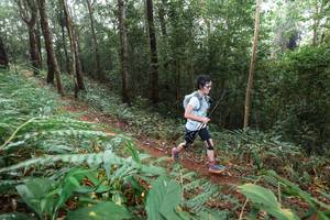 BIB: 
                            <button type="button" onclick="openModal(22485212)" class="btn btn-primary btn-sm float-right btn-popup" data-toggle="modal" data-target=".modal-high-quality">
                        <i class="fas fa-shopping-cart"></i> Add to Cart
                    </button>
                                            <button type="button" onclick="isThisMe(22485212, true)" class="btn btn-success btn-sm float-right btn-popup btn-isme hidden" data-toggle="tooltip" data-placement="bottom" title="นี่คือรูปของคุณใช่ไหม คลิกที่นี่เพื่อเอาเข้าอัลบั้ม">
                        <i class="fas fa-plus"></i> Add to album
                    </button>
                    <button type="button" onclick="isThisMe(22485212, false)" class="btn btn-warning btn-sm float-right btn-popup btn-isnotme hidden">
                        <i class="fas fa-ban"></i> Remove from album
                    </button>