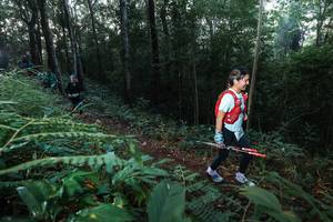 BIB: 
                            <button type="button" onclick="openModal(22466223)" class="btn btn-primary btn-sm float-right btn-popup" data-toggle="modal" data-target=".modal-high-quality">
                        <i class="fas fa-shopping-cart"></i> Add to Cart
                    </button>
                                            <button type="button" onclick="isThisMe(22466223, true)" class="btn btn-success btn-sm float-right btn-popup btn-isme hidden" data-toggle="tooltip" data-placement="bottom" title="นี่คือรูปของคุณใช่ไหม คลิกที่นี่เพื่อเอาเข้าอัลบั้ม">
                        <i class="fas fa-plus"></i> Add to album
                    </button>
                    <button type="button" onclick="isThisMe(22466223, false)" class="btn btn-warning btn-sm float-right btn-popup btn-isnotme hidden">
                        <i class="fas fa-ban"></i> Remove from album
                    </button>