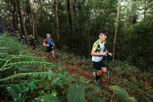 BIB: 
                            <button type="button" onclick="openModal(22464713)" class="btn btn-primary btn-sm float-right btn-popup" data-toggle="modal" data-target=".modal-high-quality">
                        <i class="fas fa-shopping-cart"></i> Add to Cart
                    </button>
                                            <button type="button" onclick="isThisMe(22464713, true)" class="btn btn-success btn-sm float-right btn-popup btn-isme hidden" data-toggle="tooltip" data-placement="bottom" title="นี่คือรูปของคุณใช่ไหม คลิกที่นี่เพื่อเอาเข้าอัลบั้ม">
                        <i class="fas fa-plus"></i> Add to album
                    </button>
                    <button type="button" onclick="isThisMe(22464713, false)" class="btn btn-warning btn-sm float-right btn-popup btn-isnotme hidden">
                        <i class="fas fa-ban"></i> Remove from album
                    </button>