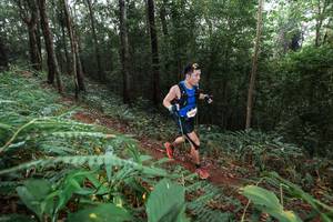 BIB: 
                            <button type="button" onclick="openModal(22484257)" class="btn btn-primary btn-sm float-right btn-popup" data-toggle="modal" data-target=".modal-high-quality">
                        <i class="fas fa-shopping-cart"></i> Add to Cart
                    </button>
                                            <button type="button" onclick="isThisMe(22484257, true)" class="btn btn-success btn-sm float-right btn-popup btn-isme hidden" data-toggle="tooltip" data-placement="bottom" title="นี่คือรูปของคุณใช่ไหม คลิกที่นี่เพื่อเอาเข้าอัลบั้ม">
                        <i class="fas fa-plus"></i> Add to album
                    </button>
                    <button type="button" onclick="isThisMe(22484257, false)" class="btn btn-warning btn-sm float-right btn-popup btn-isnotme hidden">
                        <i class="fas fa-ban"></i> Remove from album
                    </button>