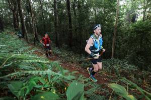 BIB: 
                            <button type="button" onclick="openModal(22484055)" class="btn btn-primary btn-sm float-right btn-popup" data-toggle="modal" data-target=".modal-high-quality">
                        <i class="fas fa-shopping-cart"></i> Add to Cart
                    </button>
                                            <button type="button" onclick="isThisMe(22484055, true)" class="btn btn-success btn-sm float-right btn-popup btn-isme hidden" data-toggle="tooltip" data-placement="bottom" title="นี่คือรูปของคุณใช่ไหม คลิกที่นี่เพื่อเอาเข้าอัลบั้ม">
                        <i class="fas fa-plus"></i> Add to album
                    </button>
                    <button type="button" onclick="isThisMe(22484055, false)" class="btn btn-warning btn-sm float-right btn-popup btn-isnotme hidden">
                        <i class="fas fa-ban"></i> Remove from album
                    </button>