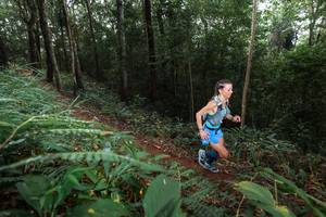 BIB: 
                            <button type="button" onclick="openModal(22480424)" class="btn btn-primary btn-sm float-right btn-popup" data-toggle="modal" data-target=".modal-high-quality">
                        <i class="fas fa-shopping-cart"></i> Add to Cart
                    </button>
                                            <button type="button" onclick="isThisMe(22480424, true)" class="btn btn-success btn-sm float-right btn-popup btn-isme hidden" data-toggle="tooltip" data-placement="bottom" title="นี่คือรูปของคุณใช่ไหม คลิกที่นี่เพื่อเอาเข้าอัลบั้ม">
                        <i class="fas fa-plus"></i> Add to album
                    </button>
                    <button type="button" onclick="isThisMe(22480424, false)" class="btn btn-warning btn-sm float-right btn-popup btn-isnotme hidden">
                        <i class="fas fa-ban"></i> Remove from album
                    </button>