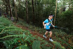 BIB: 
                            <button type="button" onclick="openModal(22464869)" class="btn btn-primary btn-sm float-right btn-popup" data-toggle="modal" data-target=".modal-high-quality">
                        <i class="fas fa-shopping-cart"></i> Add to Cart
                    </button>
                                            <button type="button" onclick="isThisMe(22464869, true)" class="btn btn-success btn-sm float-right btn-popup btn-isme hidden" data-toggle="tooltip" data-placement="bottom" title="นี่คือรูปของคุณใช่ไหม คลิกที่นี่เพื่อเอาเข้าอัลบั้ม">
                        <i class="fas fa-plus"></i> Add to album
                    </button>
                    <button type="button" onclick="isThisMe(22464869, false)" class="btn btn-warning btn-sm float-right btn-popup btn-isnotme hidden">
                        <i class="fas fa-ban"></i> Remove from album
                    </button>