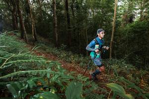 BIB: 
                            <button type="button" onclick="openModal(22463996)" class="btn btn-primary btn-sm float-right btn-popup" data-toggle="modal" data-target=".modal-high-quality">
                        <i class="fas fa-shopping-cart"></i> Add to Cart
                    </button>
                                            <button type="button" onclick="isThisMe(22463996, true)" class="btn btn-success btn-sm float-right btn-popup btn-isme hidden" data-toggle="tooltip" data-placement="bottom" title="นี่คือรูปของคุณใช่ไหม คลิกที่นี่เพื่อเอาเข้าอัลบั้ม">
                        <i class="fas fa-plus"></i> Add to album
                    </button>
                    <button type="button" onclick="isThisMe(22463996, false)" class="btn btn-warning btn-sm float-right btn-popup btn-isnotme hidden">
                        <i class="fas fa-ban"></i> Remove from album
                    </button>