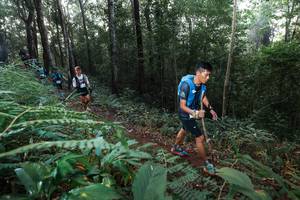 BIB: 
                            <button type="button" onclick="openModal(22477563)" class="btn btn-primary btn-sm float-right btn-popup" data-toggle="modal" data-target=".modal-high-quality">
                        <i class="fas fa-shopping-cart"></i> Add to Cart
                    </button>
                                            <button type="button" onclick="isThisMe(22477563, true)" class="btn btn-success btn-sm float-right btn-popup btn-isme hidden" data-toggle="tooltip" data-placement="bottom" title="นี่คือรูปของคุณใช่ไหม คลิกที่นี่เพื่อเอาเข้าอัลบั้ม">
                        <i class="fas fa-plus"></i> Add to album
                    </button>
                    <button type="button" onclick="isThisMe(22477563, false)" class="btn btn-warning btn-sm float-right btn-popup btn-isnotme hidden">
                        <i class="fas fa-ban"></i> Remove from album
                    </button>