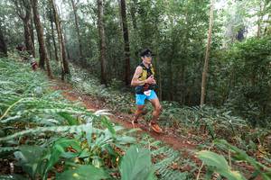 BIB: 
                            <button type="button" onclick="openModal(22485636)" class="btn btn-primary btn-sm float-right btn-popup" data-toggle="modal" data-target=".modal-high-quality">
                        <i class="fas fa-shopping-cart"></i> Add to Cart
                    </button>
                                            <button type="button" onclick="isThisMe(22485636, true)" class="btn btn-success btn-sm float-right btn-popup btn-isme hidden" data-toggle="tooltip" data-placement="bottom" title="นี่คือรูปของคุณใช่ไหม คลิกที่นี่เพื่อเอาเข้าอัลบั้ม">
                        <i class="fas fa-plus"></i> Add to album
                    </button>
                    <button type="button" onclick="isThisMe(22485636, false)" class="btn btn-warning btn-sm float-right btn-popup btn-isnotme hidden">
                        <i class="fas fa-ban"></i> Remove from album
                    </button>