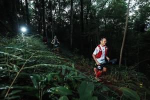 BIB: 
                            <button type="button" onclick="openModal(22450292)" class="btn btn-primary btn-sm float-right btn-popup" data-toggle="modal" data-target=".modal-high-quality">
                        <i class="fas fa-shopping-cart"></i> Add to Cart
                    </button>
                                            <button type="button" onclick="isThisMe(22450292, true)" class="btn btn-success btn-sm float-right btn-popup btn-isme hidden" data-toggle="tooltip" data-placement="bottom" title="นี่คือรูปของคุณใช่ไหม คลิกที่นี่เพื่อเอาเข้าอัลบั้ม">
                        <i class="fas fa-plus"></i> Add to album
                    </button>
                    <button type="button" onclick="isThisMe(22450292, false)" class="btn btn-warning btn-sm float-right btn-popup btn-isnotme hidden">
                        <i class="fas fa-ban"></i> Remove from album
                    </button>