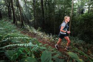 BIB: 
                            <button type="button" onclick="openModal(22480319)" class="btn btn-primary btn-sm float-right btn-popup" data-toggle="modal" data-target=".modal-high-quality">
                        <i class="fas fa-shopping-cart"></i> Add to Cart
                    </button>
                                            <button type="button" onclick="isThisMe(22480319, true)" class="btn btn-success btn-sm float-right btn-popup btn-isme hidden" data-toggle="tooltip" data-placement="bottom" title="นี่คือรูปของคุณใช่ไหม คลิกที่นี่เพื่อเอาเข้าอัลบั้ม">
                        <i class="fas fa-plus"></i> Add to album
                    </button>
                    <button type="button" onclick="isThisMe(22480319, false)" class="btn btn-warning btn-sm float-right btn-popup btn-isnotme hidden">
                        <i class="fas fa-ban"></i> Remove from album
                    </button>