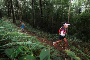 BIB: 
                            <button type="button" onclick="openModal(22480420)" class="btn btn-primary btn-sm float-right btn-popup" data-toggle="modal" data-target=".modal-high-quality">
                        <i class="fas fa-shopping-cart"></i> Add to Cart
                    </button>
                                            <button type="button" onclick="isThisMe(22480420, true)" class="btn btn-success btn-sm float-right btn-popup btn-isme hidden" data-toggle="tooltip" data-placement="bottom" title="นี่คือรูปของคุณใช่ไหม คลิกที่นี่เพื่อเอาเข้าอัลบั้ม">
                        <i class="fas fa-plus"></i> Add to album
                    </button>
                    <button type="button" onclick="isThisMe(22480420, false)" class="btn btn-warning btn-sm float-right btn-popup btn-isnotme hidden">
                        <i class="fas fa-ban"></i> Remove from album
                    </button>