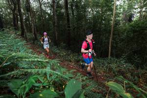 BIB: 
                            <button type="button" onclick="openModal(22487198)" class="btn btn-primary btn-sm float-right btn-popup" data-toggle="modal" data-target=".modal-high-quality">
                        <i class="fas fa-shopping-cart"></i> Add to Cart
                    </button>
                                            <button type="button" onclick="isThisMe(22487198, true)" class="btn btn-success btn-sm float-right btn-popup btn-isme hidden" data-toggle="tooltip" data-placement="bottom" title="นี่คือรูปของคุณใช่ไหม คลิกที่นี่เพื่อเอาเข้าอัลบั้ม">
                        <i class="fas fa-plus"></i> Add to album
                    </button>
                    <button type="button" onclick="isThisMe(22487198, false)" class="btn btn-warning btn-sm float-right btn-popup btn-isnotme hidden">
                        <i class="fas fa-ban"></i> Remove from album
                    </button>