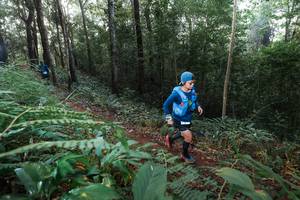 BIB: 
                            <button type="button" onclick="openModal(22478017)" class="btn btn-primary btn-sm float-right btn-popup" data-toggle="modal" data-target=".modal-high-quality">
                        <i class="fas fa-shopping-cart"></i> Add to Cart
                    </button>
                                            <button type="button" onclick="isThisMe(22478017, true)" class="btn btn-success btn-sm float-right btn-popup btn-isme hidden" data-toggle="tooltip" data-placement="bottom" title="นี่คือรูปของคุณใช่ไหม คลิกที่นี่เพื่อเอาเข้าอัลบั้ม">
                        <i class="fas fa-plus"></i> Add to album
                    </button>
                    <button type="button" onclick="isThisMe(22478017, false)" class="btn btn-warning btn-sm float-right btn-popup btn-isnotme hidden">
                        <i class="fas fa-ban"></i> Remove from album
                    </button>