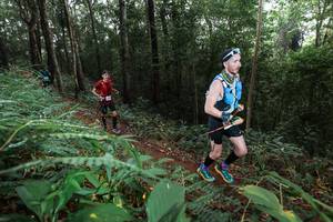 BIB: 
                            <button type="button" onclick="openModal(22484054)" class="btn btn-primary btn-sm float-right btn-popup" data-toggle="modal" data-target=".modal-high-quality">
                        <i class="fas fa-shopping-cart"></i> Add to Cart
                    </button>
                                            <button type="button" onclick="isThisMe(22484054, true)" class="btn btn-success btn-sm float-right btn-popup btn-isme hidden" data-toggle="tooltip" data-placement="bottom" title="นี่คือรูปของคุณใช่ไหม คลิกที่นี่เพื่อเอาเข้าอัลบั้ม">
                        <i class="fas fa-plus"></i> Add to album
                    </button>
                    <button type="button" onclick="isThisMe(22484054, false)" class="btn btn-warning btn-sm float-right btn-popup btn-isnotme hidden">
                        <i class="fas fa-ban"></i> Remove from album
                    </button>