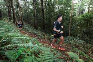 BIB: 
                            <button type="button" onclick="openModal(22485063)" class="btn btn-primary btn-sm float-right btn-popup" data-toggle="modal" data-target=".modal-high-quality">
                        <i class="fas fa-shopping-cart"></i> Add to Cart
                    </button>
                                            <button type="button" onclick="isThisMe(22485063, true)" class="btn btn-success btn-sm float-right btn-popup btn-isme hidden" data-toggle="tooltip" data-placement="bottom" title="นี่คือรูปของคุณใช่ไหม คลิกที่นี่เพื่อเอาเข้าอัลบั้ม">
                        <i class="fas fa-plus"></i> Add to album
                    </button>
                    <button type="button" onclick="isThisMe(22485063, false)" class="btn btn-warning btn-sm float-right btn-popup btn-isnotme hidden">
                        <i class="fas fa-ban"></i> Remove from album
                    </button>