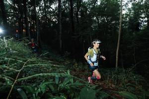 BIB: 
                            <button type="button" onclick="openModal(22449340)" class="btn btn-primary btn-sm float-right btn-popup" data-toggle="modal" data-target=".modal-high-quality">
                        <i class="fas fa-shopping-cart"></i> Add to Cart
                    </button>
                                            <button type="button" onclick="isThisMe(22449340, true)" class="btn btn-success btn-sm float-right btn-popup btn-isme hidden" data-toggle="tooltip" data-placement="bottom" title="นี่คือรูปของคุณใช่ไหม คลิกที่นี่เพื่อเอาเข้าอัลบั้ม">
                        <i class="fas fa-plus"></i> Add to album
                    </button>
                    <button type="button" onclick="isThisMe(22449340, false)" class="btn btn-warning btn-sm float-right btn-popup btn-isnotme hidden">
                        <i class="fas fa-ban"></i> Remove from album
                    </button>