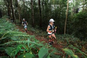 BIB: 6400
                            <button type="button" onclick="openModal(22487123)" class="btn btn-primary btn-sm float-right btn-popup" data-toggle="modal" data-target=".modal-high-quality">
                        <i class="fas fa-shopping-cart"></i> Add to Cart
                    </button>
                                            <button type="button" onclick="isThisMe(22487123, true)" class="btn btn-success btn-sm float-right btn-popup btn-isme hidden" data-toggle="tooltip" data-placement="bottom" title="นี่คือรูปของคุณใช่ไหม คลิกที่นี่เพื่อเอาเข้าอัลบั้ม">
                        <i class="fas fa-plus"></i> Add to album
                    </button>
                    <button type="button" onclick="isThisMe(22487123, false)" class="btn btn-warning btn-sm float-right btn-popup btn-isnotme hidden">
                        <i class="fas fa-ban"></i> Remove from album
                    </button>