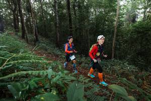 BIB: 
                            <button type="button" onclick="openModal(22478753)" class="btn btn-primary btn-sm float-right btn-popup" data-toggle="modal" data-target=".modal-high-quality">
                        <i class="fas fa-shopping-cart"></i> Add to Cart
                    </button>
                                            <button type="button" onclick="isThisMe(22478753, true)" class="btn btn-success btn-sm float-right btn-popup btn-isme hidden" data-toggle="tooltip" data-placement="bottom" title="นี่คือรูปของคุณใช่ไหม คลิกที่นี่เพื่อเอาเข้าอัลบั้ม">
                        <i class="fas fa-plus"></i> Add to album
                    </button>
                    <button type="button" onclick="isThisMe(22478753, false)" class="btn btn-warning btn-sm float-right btn-popup btn-isnotme hidden">
                        <i class="fas fa-ban"></i> Remove from album
                    </button>