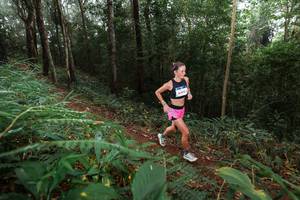 BIB: 5009
                            <button type="button" onclick="openModal(22481115)" class="btn btn-primary btn-sm float-right btn-popup" data-toggle="modal" data-target=".modal-high-quality">
                        <i class="fas fa-shopping-cart"></i> Add to Cart
                    </button>
                                            <button type="button" onclick="isThisMe(22481115, true)" class="btn btn-success btn-sm float-right btn-popup btn-isme hidden" data-toggle="tooltip" data-placement="bottom" title="นี่คือรูปของคุณใช่ไหม คลิกที่นี่เพื่อเอาเข้าอัลบั้ม">
                        <i class="fas fa-plus"></i> Add to album
                    </button>
                    <button type="button" onclick="isThisMe(22481115, false)" class="btn btn-warning btn-sm float-right btn-popup btn-isnotme hidden">
                        <i class="fas fa-ban"></i> Remove from album
                    </button>