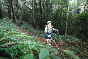 BIB: 
                            <button type="button" onclick="openModal(22479505)" class="btn btn-primary btn-sm float-right btn-popup" data-toggle="modal" data-target=".modal-high-quality">
                        <i class="fas fa-shopping-cart"></i> Add to Cart
                    </button>
                                            <button type="button" onclick="isThisMe(22479505, true)" class="btn btn-success btn-sm float-right btn-popup btn-isme hidden" data-toggle="tooltip" data-placement="bottom" title="นี่คือรูปของคุณใช่ไหม คลิกที่นี่เพื่อเอาเข้าอัลบั้ม">
                        <i class="fas fa-plus"></i> Add to album
                    </button>
                    <button type="button" onclick="isThisMe(22479505, false)" class="btn btn-warning btn-sm float-right btn-popup btn-isnotme hidden">
                        <i class="fas fa-ban"></i> Remove from album
                    </button>