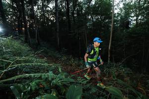 BIB: 
                            <button type="button" onclick="openModal(22451092)" class="btn btn-primary btn-sm float-right btn-popup" data-toggle="modal" data-target=".modal-high-quality">
                        <i class="fas fa-shopping-cart"></i> Add to Cart
                    </button>
                                            <button type="button" onclick="isThisMe(22451092, true)" class="btn btn-success btn-sm float-right btn-popup btn-isme hidden" data-toggle="tooltip" data-placement="bottom" title="นี่คือรูปของคุณใช่ไหม คลิกที่นี่เพื่อเอาเข้าอัลบั้ม">
                        <i class="fas fa-plus"></i> Add to album
                    </button>
                    <button type="button" onclick="isThisMe(22451092, false)" class="btn btn-warning btn-sm float-right btn-popup btn-isnotme hidden">
                        <i class="fas fa-ban"></i> Remove from album
                    </button>