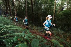 BIB: 
                            <button type="button" onclick="openModal(22464241)" class="btn btn-primary btn-sm float-right btn-popup" data-toggle="modal" data-target=".modal-high-quality">
                        <i class="fas fa-shopping-cart"></i> Add to Cart
                    </button>
                                            <button type="button" onclick="isThisMe(22464241, true)" class="btn btn-success btn-sm float-right btn-popup btn-isme hidden" data-toggle="tooltip" data-placement="bottom" title="นี่คือรูปของคุณใช่ไหม คลิกที่นี่เพื่อเอาเข้าอัลบั้ม">
                        <i class="fas fa-plus"></i> Add to album
                    </button>
                    <button type="button" onclick="isThisMe(22464241, false)" class="btn btn-warning btn-sm float-right btn-popup btn-isnotme hidden">
                        <i class="fas fa-ban"></i> Remove from album
                    </button>