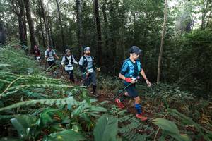 BIB: 
                            <button type="button" onclick="openModal(22477565)" class="btn btn-primary btn-sm float-right btn-popup" data-toggle="modal" data-target=".modal-high-quality">
                        <i class="fas fa-shopping-cart"></i> Add to Cart
                    </button>
                                            <button type="button" onclick="isThisMe(22477565, true)" class="btn btn-success btn-sm float-right btn-popup btn-isme hidden" data-toggle="tooltip" data-placement="bottom" title="นี่คือรูปของคุณใช่ไหม คลิกที่นี่เพื่อเอาเข้าอัลบั้ม">
                        <i class="fas fa-plus"></i> Add to album
                    </button>
                    <button type="button" onclick="isThisMe(22477565, false)" class="btn btn-warning btn-sm float-right btn-popup btn-isnotme hidden">
                        <i class="fas fa-ban"></i> Remove from album
                    </button>