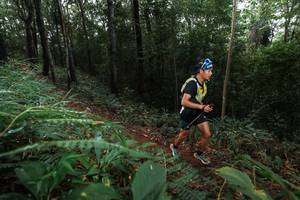 BIB: 
                            <button type="button" onclick="openModal(22480376)" class="btn btn-primary btn-sm float-right btn-popup" data-toggle="modal" data-target=".modal-high-quality">
                        <i class="fas fa-shopping-cart"></i> Add to Cart
                    </button>
                                            <button type="button" onclick="isThisMe(22480376, true)" class="btn btn-success btn-sm float-right btn-popup btn-isme hidden" data-toggle="tooltip" data-placement="bottom" title="นี่คือรูปของคุณใช่ไหม คลิกที่นี่เพื่อเอาเข้าอัลบั้ม">
                        <i class="fas fa-plus"></i> Add to album
                    </button>
                    <button type="button" onclick="isThisMe(22480376, false)" class="btn btn-warning btn-sm float-right btn-popup btn-isnotme hidden">
                        <i class="fas fa-ban"></i> Remove from album
                    </button>