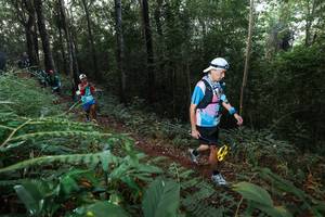 BIB: 
                            <button type="button" onclick="openModal(22465464)" class="btn btn-primary btn-sm float-right btn-popup" data-toggle="modal" data-target=".modal-high-quality">
                        <i class="fas fa-shopping-cart"></i> Add to Cart
                    </button>
                                            <button type="button" onclick="isThisMe(22465464, true)" class="btn btn-success btn-sm float-right btn-popup btn-isme hidden" data-toggle="tooltip" data-placement="bottom" title="นี่คือรูปของคุณใช่ไหม คลิกที่นี่เพื่อเอาเข้าอัลบั้ม">
                        <i class="fas fa-plus"></i> Add to album
                    </button>
                    <button type="button" onclick="isThisMe(22465464, false)" class="btn btn-warning btn-sm float-right btn-popup btn-isnotme hidden">
                        <i class="fas fa-ban"></i> Remove from album
                    </button>