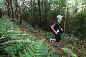 BIB: 
                            <button type="button" onclick="openModal(22485273)" class="btn btn-primary btn-sm float-right btn-popup" data-toggle="modal" data-target=".modal-high-quality">
                        <i class="fas fa-shopping-cart"></i> Add to Cart
                    </button>
                                            <button type="button" onclick="isThisMe(22485273, true)" class="btn btn-success btn-sm float-right btn-popup btn-isme hidden" data-toggle="tooltip" data-placement="bottom" title="นี่คือรูปของคุณใช่ไหม คลิกที่นี่เพื่อเอาเข้าอัลบั้ม">
                        <i class="fas fa-plus"></i> Add to album
                    </button>
                    <button type="button" onclick="isThisMe(22485273, false)" class="btn btn-warning btn-sm float-right btn-popup btn-isnotme hidden">
                        <i class="fas fa-ban"></i> Remove from album
                    </button>