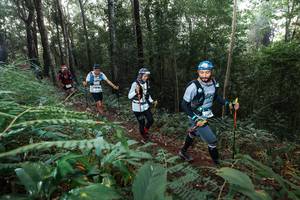 BIB: 
                            <button type="button" onclick="openModal(22477687)" class="btn btn-primary btn-sm float-right btn-popup" data-toggle="modal" data-target=".modal-high-quality">
                        <i class="fas fa-shopping-cart"></i> Add to Cart
                    </button>
                                            <button type="button" onclick="isThisMe(22477687, true)" class="btn btn-success btn-sm float-right btn-popup btn-isme hidden" data-toggle="tooltip" data-placement="bottom" title="นี่คือรูปของคุณใช่ไหม คลิกที่นี่เพื่อเอาเข้าอัลบั้ม">
                        <i class="fas fa-plus"></i> Add to album
                    </button>
                    <button type="button" onclick="isThisMe(22477687, false)" class="btn btn-warning btn-sm float-right btn-popup btn-isnotme hidden">
                        <i class="fas fa-ban"></i> Remove from album
                    </button>